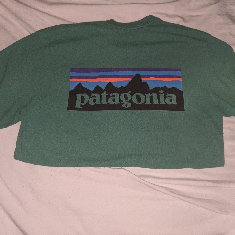Patagonia T shirt